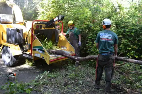 tree services Carson